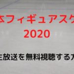 <span class="title">全日本フィギュアスケート2020のライブフル動画の生中継の無料視聴方法は？見逃し配信は？</span>