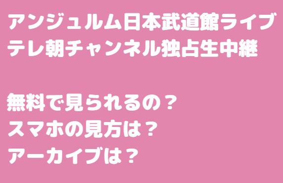 アンジュルム武道館ライブ視聴方法